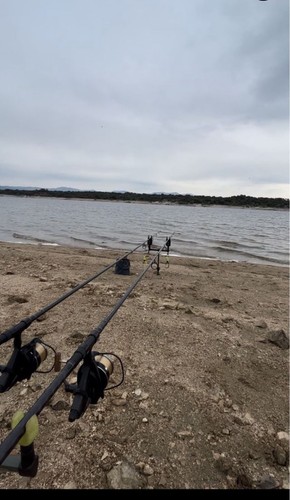 Sportex competition carp - sportex,