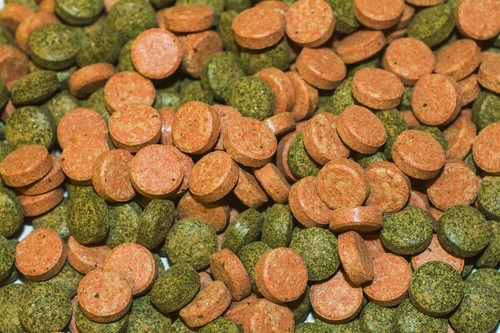 Mixed tropical fish food - tropical,