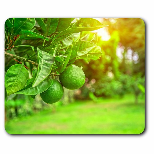 Computer mouse mat - computer,
