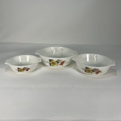 Pyrex autumn glory - pyrex,