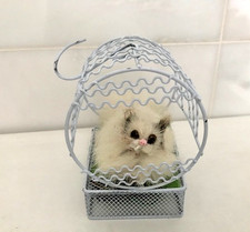 2 Cream Decorative Metal cage with artificial poodle Indoor Hanging Decor