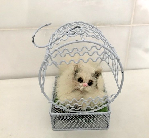 Cream decorative metal cage - decorative,