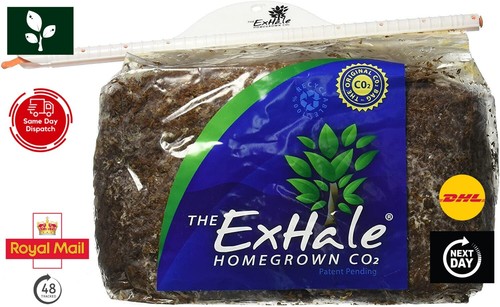 Exhale natural co2 - natural, generator