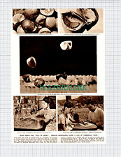 X705) Paper Cutting - Mexican