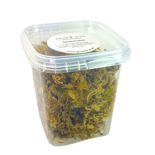 Sphagnum moss ready - -, made