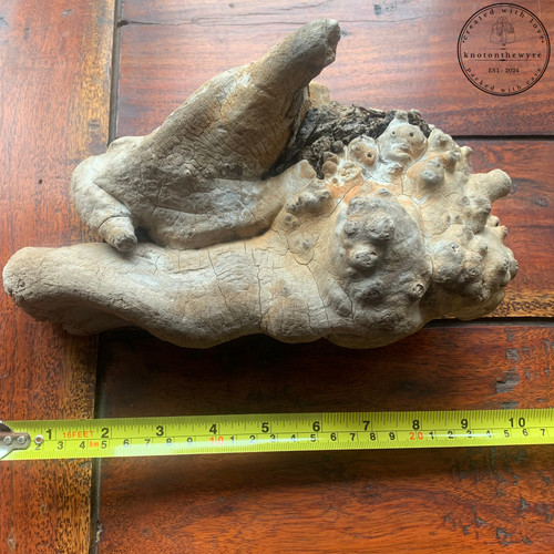 Driftwood beautiful piece - -, a