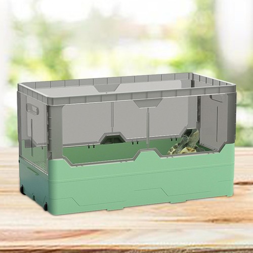 Turtles tank aquarium reptile - tank,