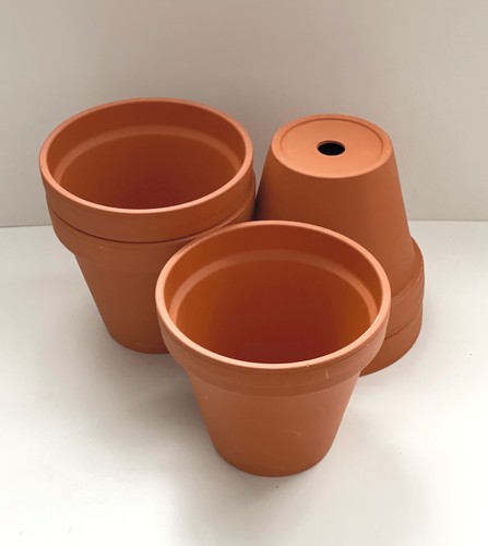 Traditional terracotta plant - traditional,