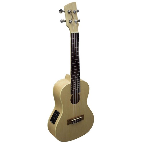 Brunswick electro acoustic - electro,