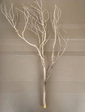 Sand Blasted Manzanita