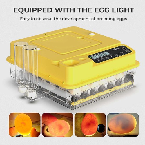 Incubators for hatching eggs - for,