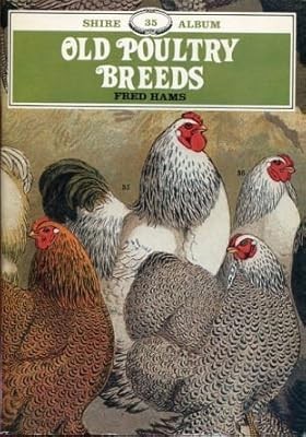 Old poultry breeds shire - poultry,