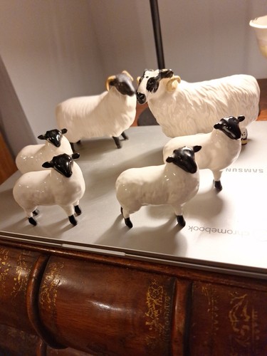 Vintage beswick black - black, faced