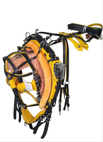 Pvc trotting harness quick - pvc,