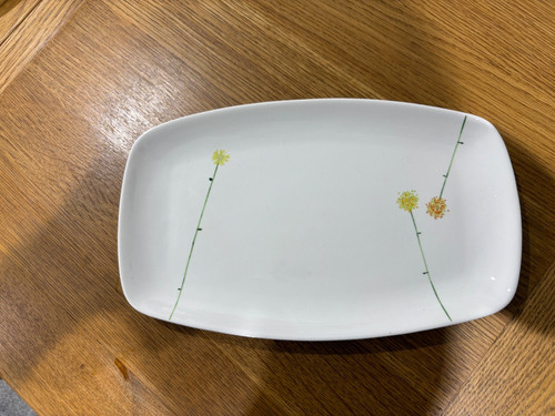Aynsley bone china daisy - bone, china,