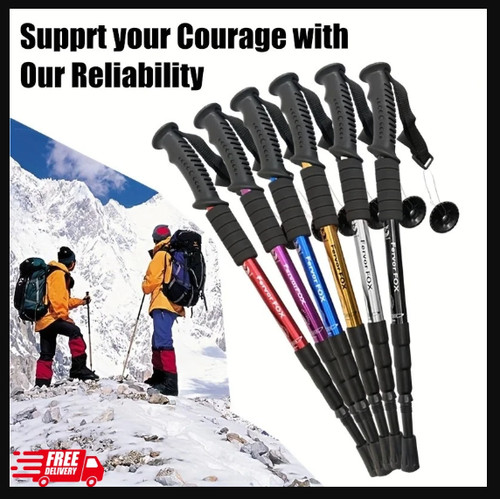 Nordic walking telescopic - walking,