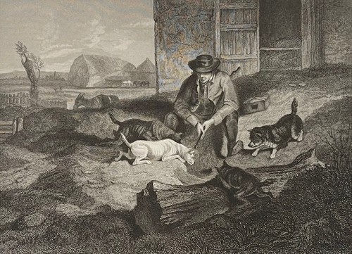 Rat hunting norfolk - hunting,