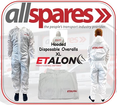 Etalon disposable painting - disposable,
