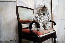 Antique Regency/William IV