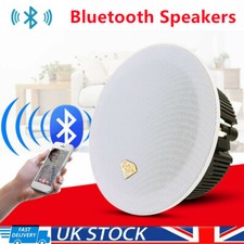 Active Ceiling Speaker