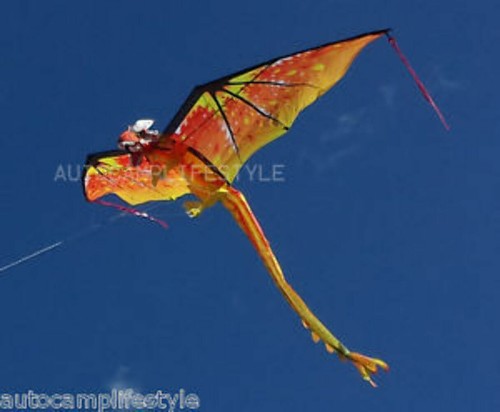 Flagseller fire dragon kite - fire,
