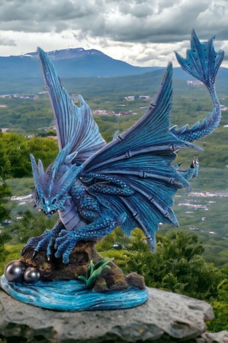 Water dragon anne - water,