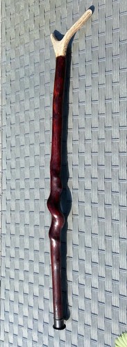 Deer antler walking - deer,