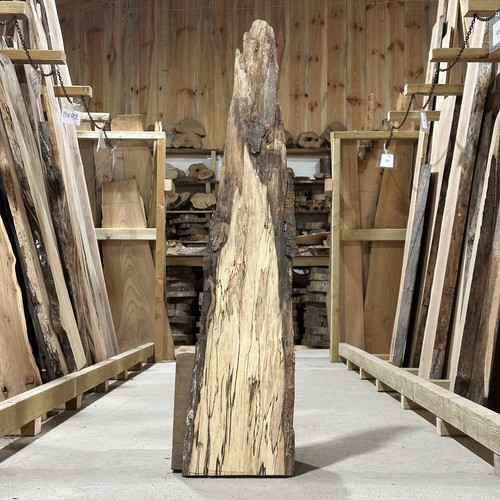 Spalted beech plank - spalted,