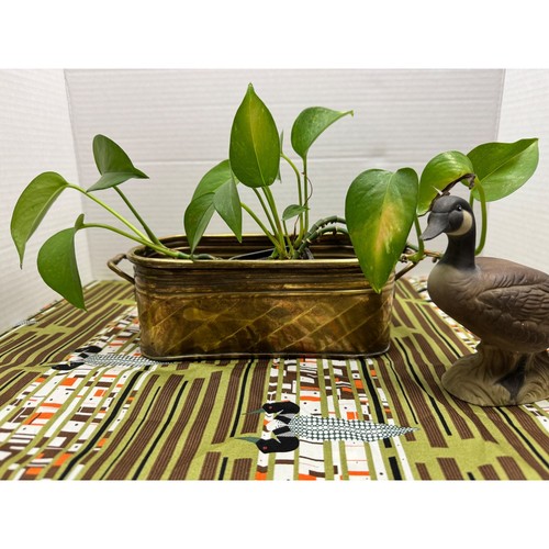 Vintage brass oval - vintage,
