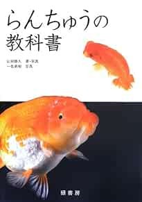 Textbook ranchu goldfish - textbook, of