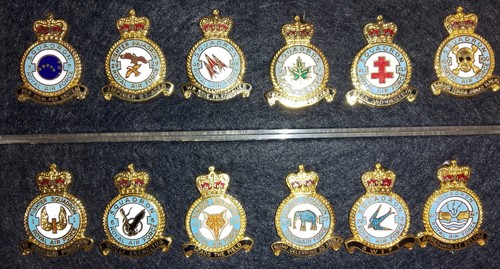 Raf squadron enamel badges - raf,
