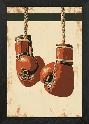 Vintage boxing gloves - boxing,