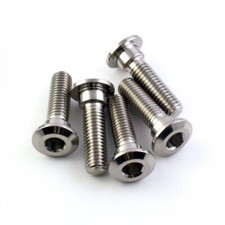 Kawasaki  W800 11+ Stainless