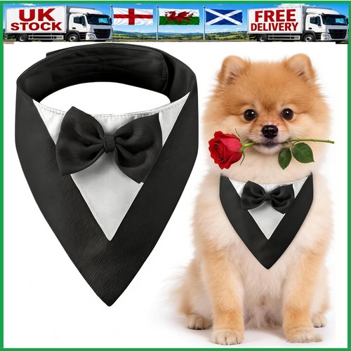 Dog tuxedo bandana - dog,