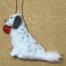 ENGLISH SETTER with VALENTINE