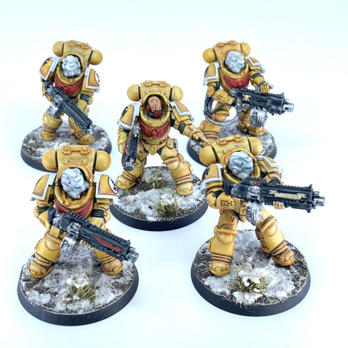Imperial fists heavy - fists,
