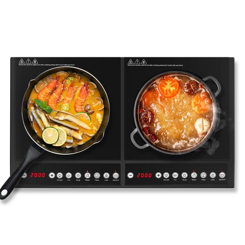 4400w 2200w electric induction - 2200w,
