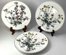 CHOICE Villeroy Boch Botanica Anthemis Tinctoria 10.5" Dinner Plate Luxembourg