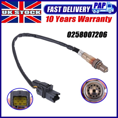 Oxygen sensor for aem - oxygen,