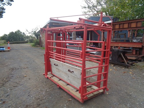 Rancher squeeze cattle - rancher,