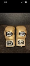 Cleto Reyes Adult Boxing