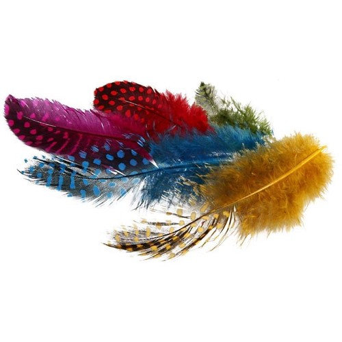 Guinea fowl feathers craft - fowl,