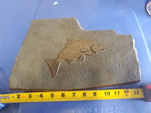 Salmon granite stepping - salmon,
