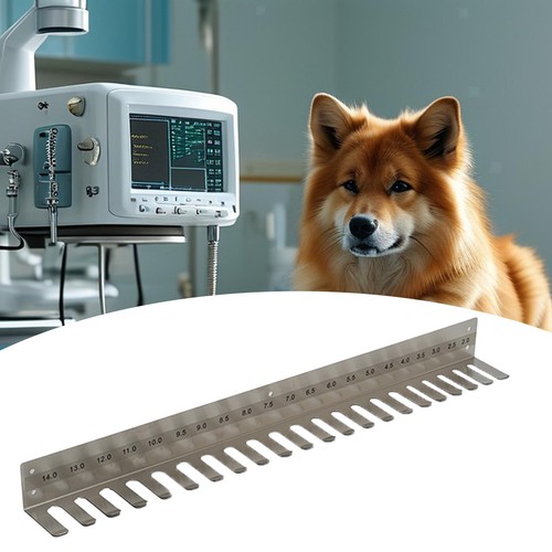 Endotracheal tube holder - tube,