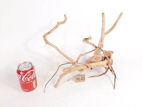 Fish tank driftwood - fish,