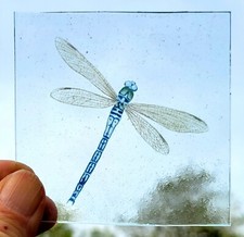 Stained glass Dragonfly piece traditional kiln fired 8 cm x 8 cm permanent