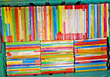 Huge Collection 140 Ladybird