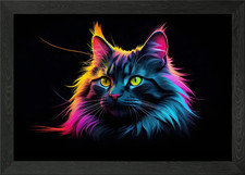 Colorful Maine Coon cat Framed