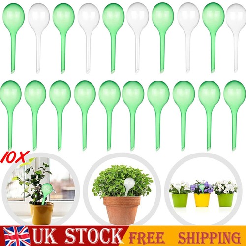 10x automatic plant watering - plant,