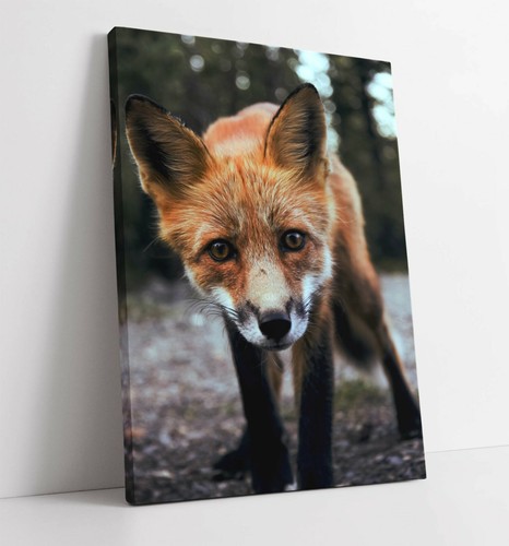 Fox large canvas wall art - large,